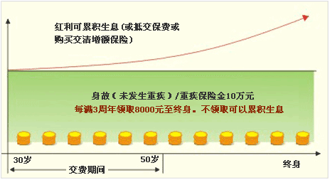 平安富貴竹保險計劃(2007)